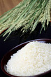 rice rice