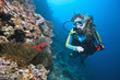 Taucher mit Anemonenfischen