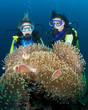 Photo: Zwei Taucher hinter einer großen Anemone, Indonesien Zwei Taucher hinter einer großen Anemone, Indonesien