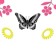 buterfly