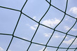 Netz