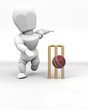 man playing cricket