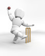 man playing cricket
