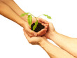 business écologie concept 2