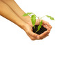 business écologie concept
