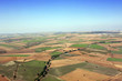 Country bird's eye