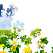 Photo: Nature puzzle Nature puzzle