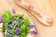 Herbs & Lavender