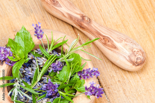 Herbs & Lavender Herbs & Lavender