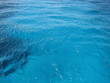 Mare Sardo