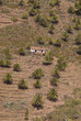 Foto: la gomera la gomera