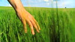 Video: Environmental Field Environmental Field
