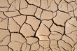 cracked mud
