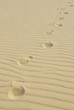 footprints on the beach