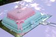 Kinderfest - Torte - Kinderfest - Torte -