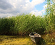 Photo: Fishing boat Fishing boat
