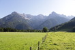 Foto: Wiese Wiese