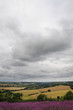 Rain cloud