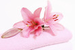 handucher,blume