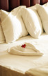 honeymoon  room