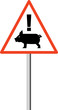 Swine flu