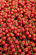 tomates grappes tomates grappes