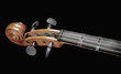 Violin Scroll