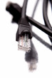 Plug and cable on white
