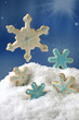 Christmas Snow Flake Cookies