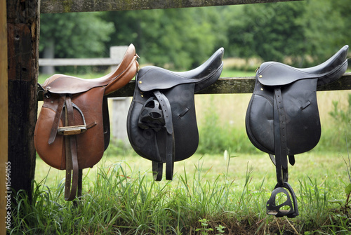 Photo: Saddles Saddles