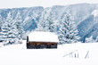 Old stable in winter