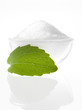 Stevia Rebaudiana-Süsskraut Stevia Rebaudiana-Süsskraut