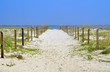 passage to the sea