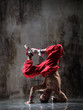 the dancer