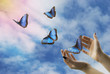 farfalle blu in volo