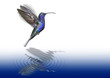 Kolibri über Wasser schwebend