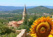 Paysage du Luberon