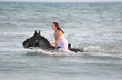 natation equine