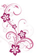 floral element