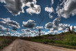 After the Hurricane Landscape