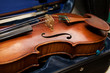 Photo: Violin in Case Violin in Case