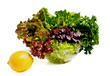 Salad.