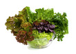 Salad.