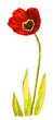 Abstract painted floral background