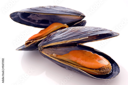 Miesmuscheln