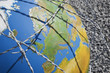 A globe entangled in barbed wire