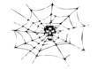 death in the cobweb death in the cobweb
