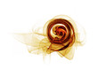 dynamic golden circular motion, abstract background on white