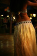 exotic skirt