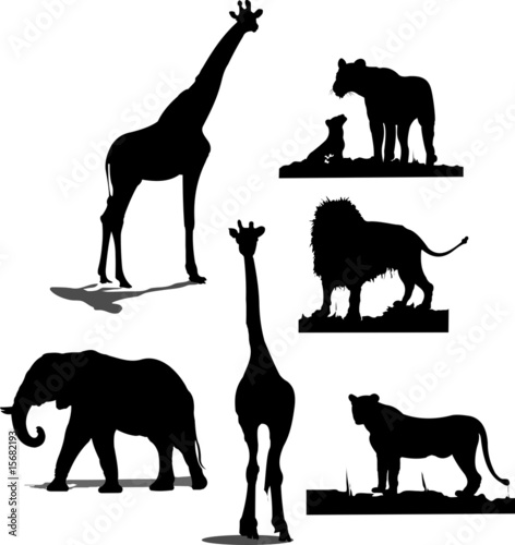silhouettes of animals. African animal silhouettes.